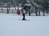 My Gallery (128/157)